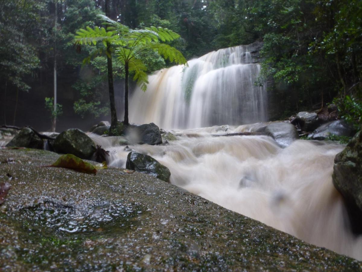 Buderim Forest Hideaway B&B 외부 사진